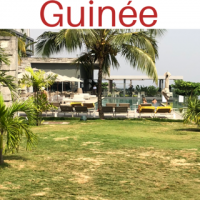 Guinee