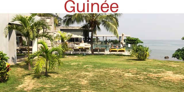 Guinee